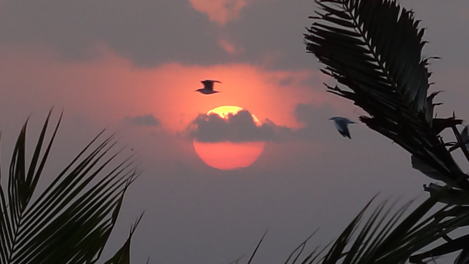 1) Establishing the truth in world scriptures – A new perspective !