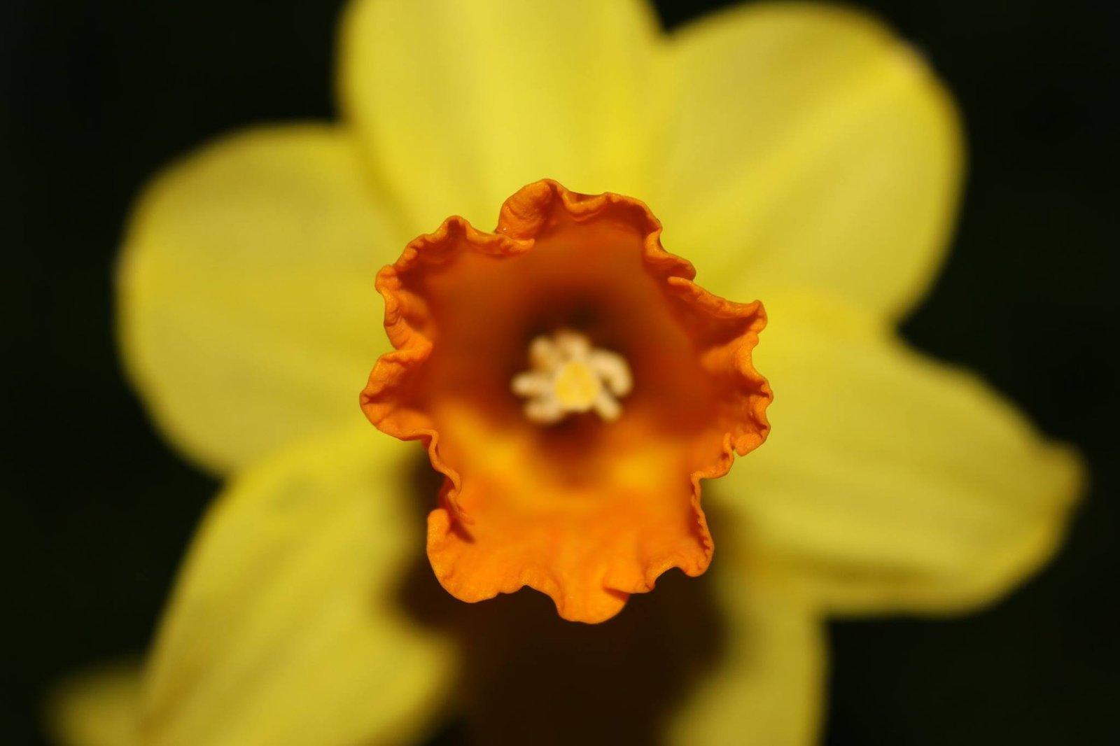 13) YOGA – The way of LIFE