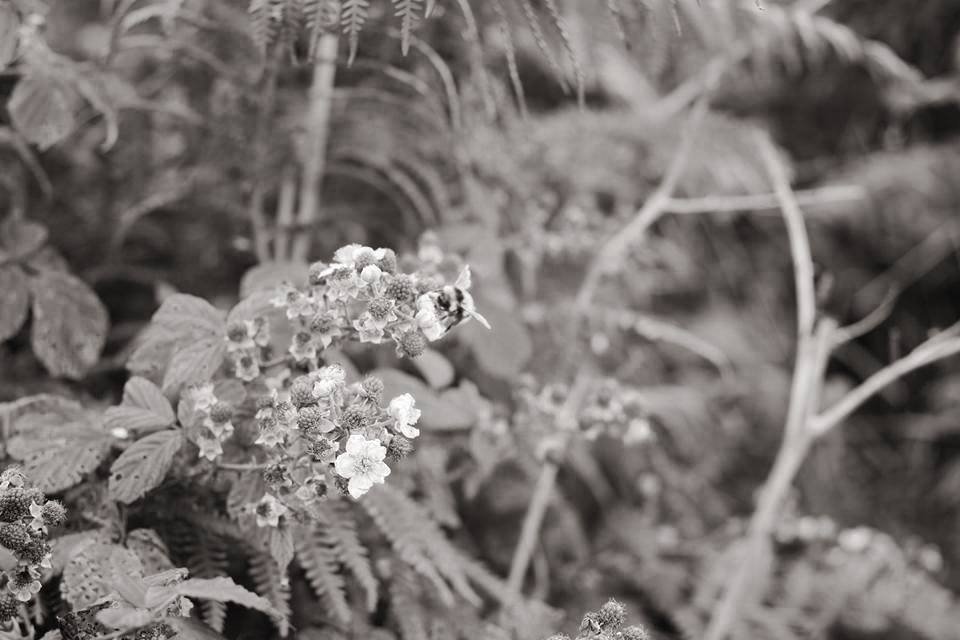 12) Splendors of the GODDESS