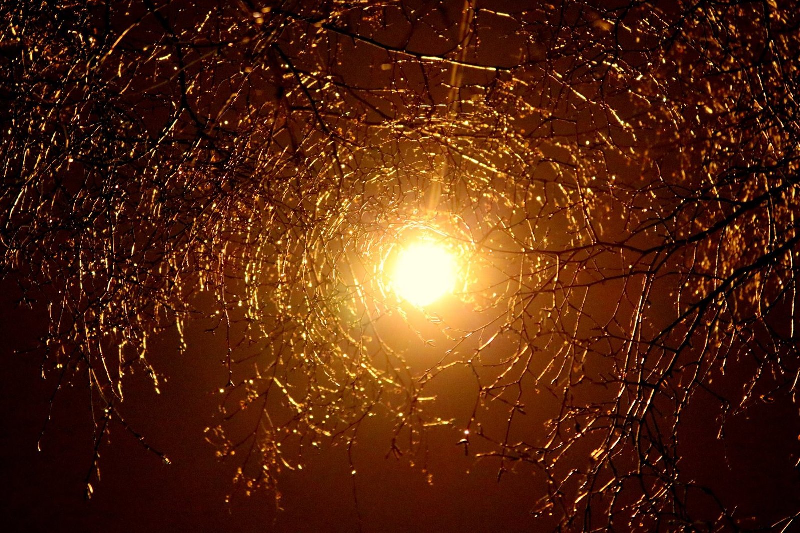 10) Majestic Universe – A Poem