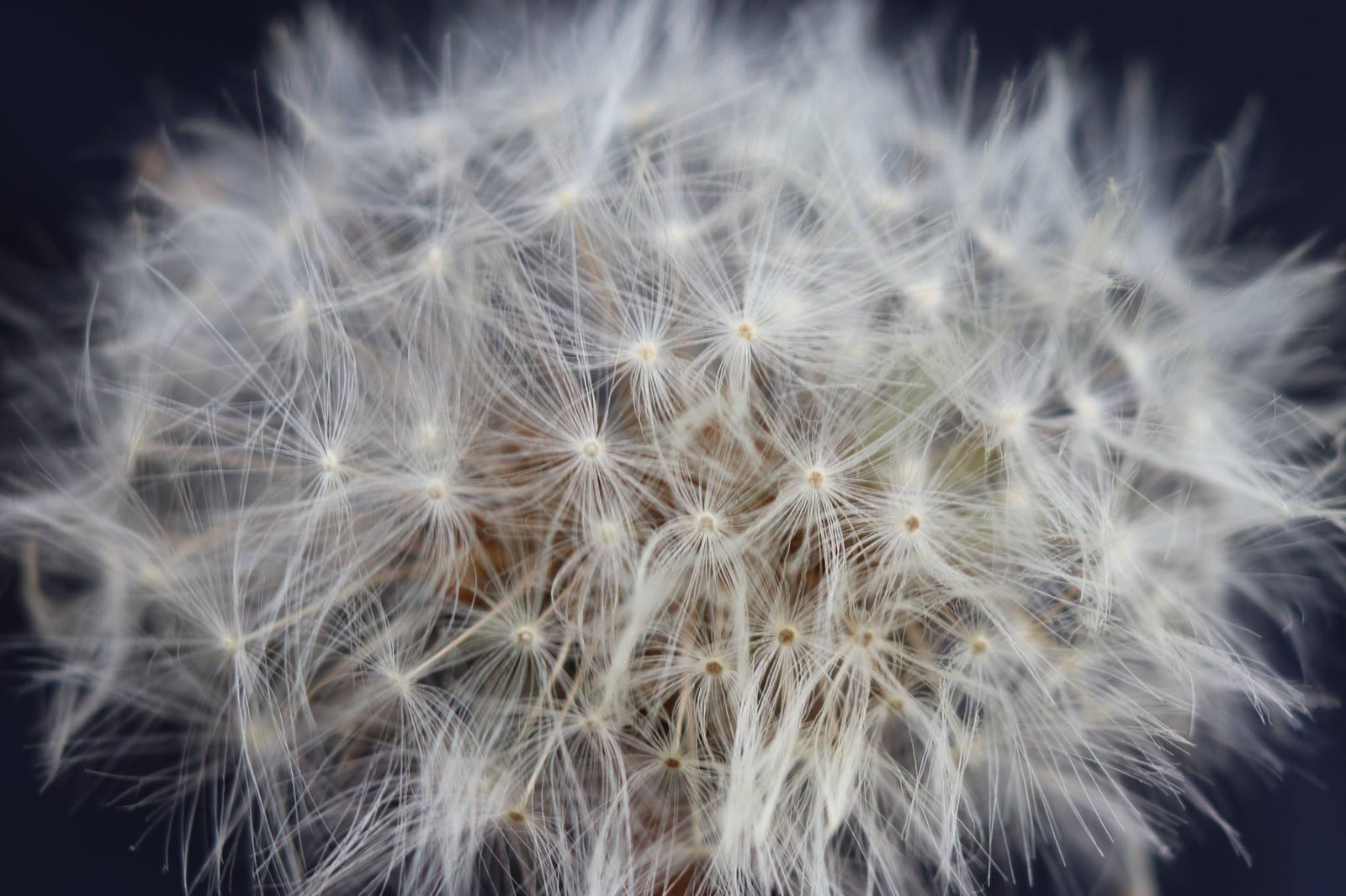 3) An iterative argument to identify the true Self / ‘I AM’.