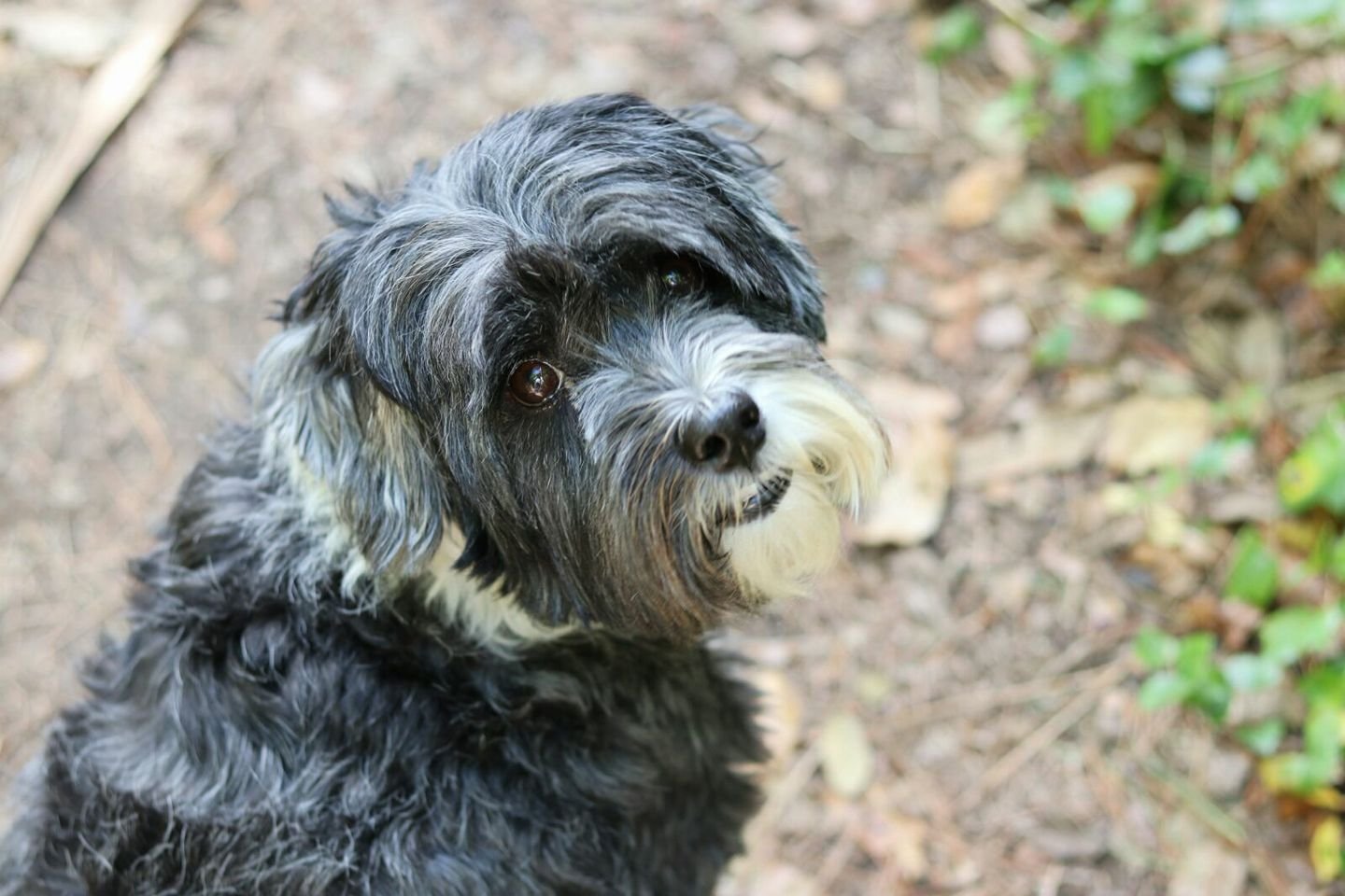 19) Consolation to a friend