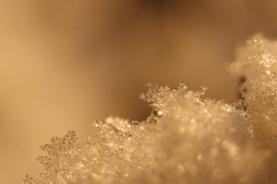 22) Peace Invocations