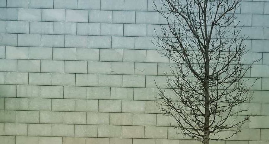 31) Brick of Creation