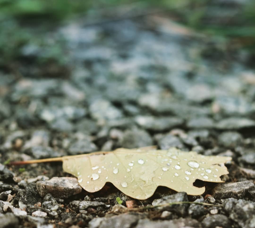 30) Science and Spirituality