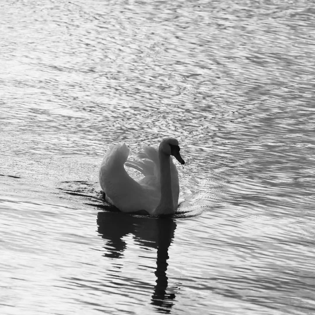 Mystic Passages 2 – Sri Suktam (part-4)