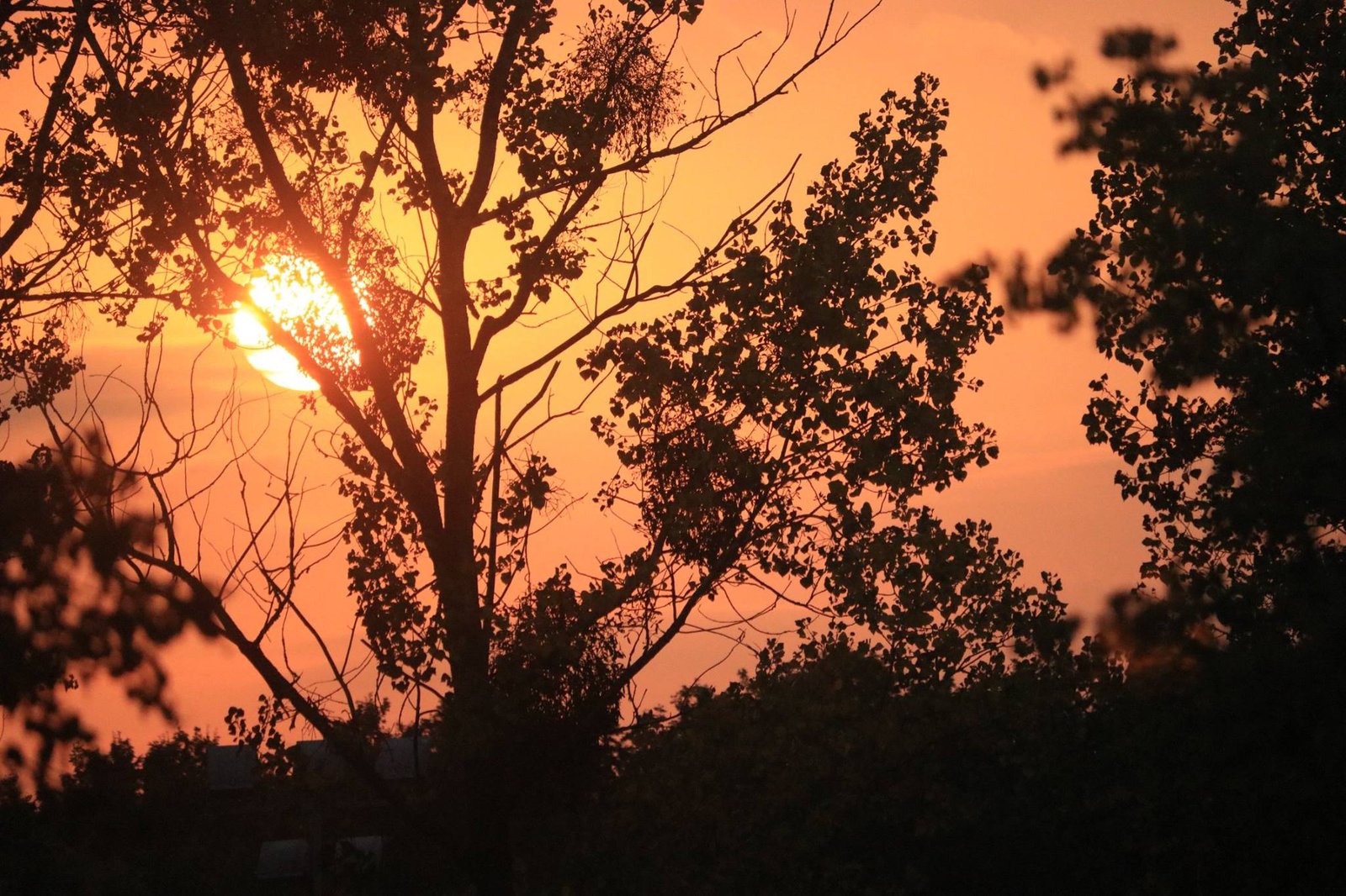 Mystic Passages 1 – Aswini Suktam