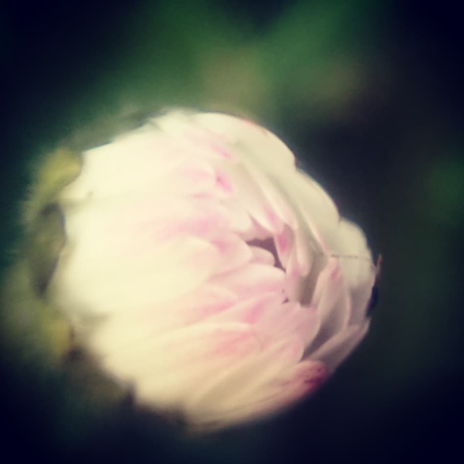 34) Beauties of 7 Musical Notes