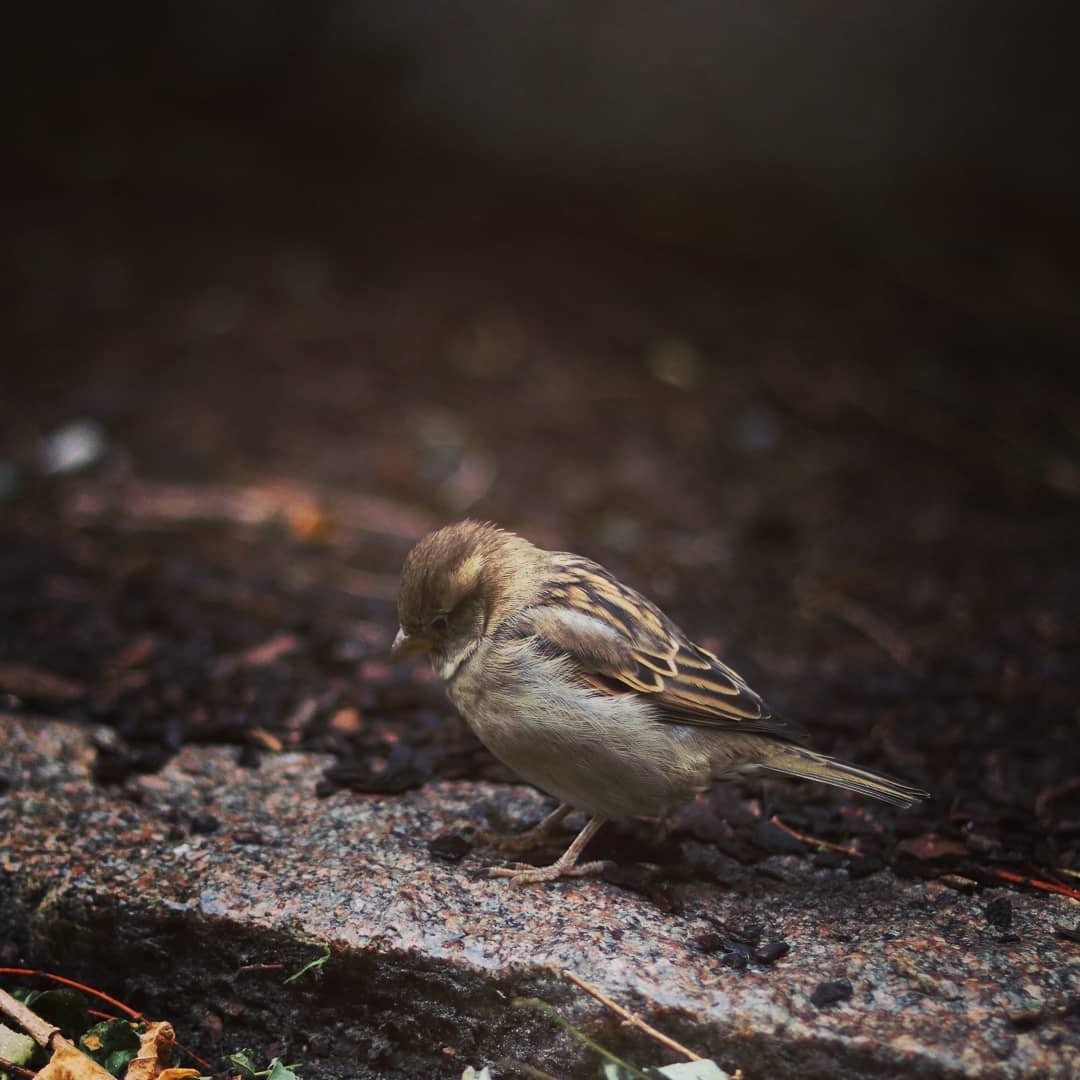 32) Existence of Non-Existence