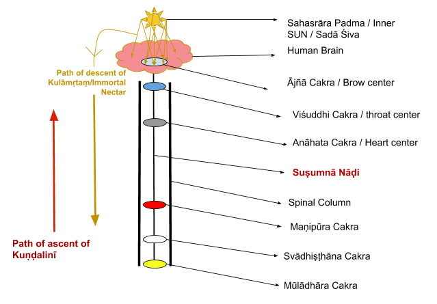 Screenshot from 2018-11-09 20-46-27