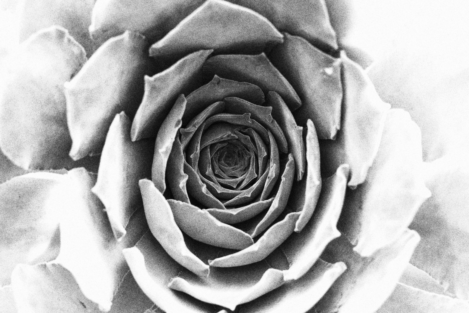 41) The glory of lord – A Poem in Telugu & English