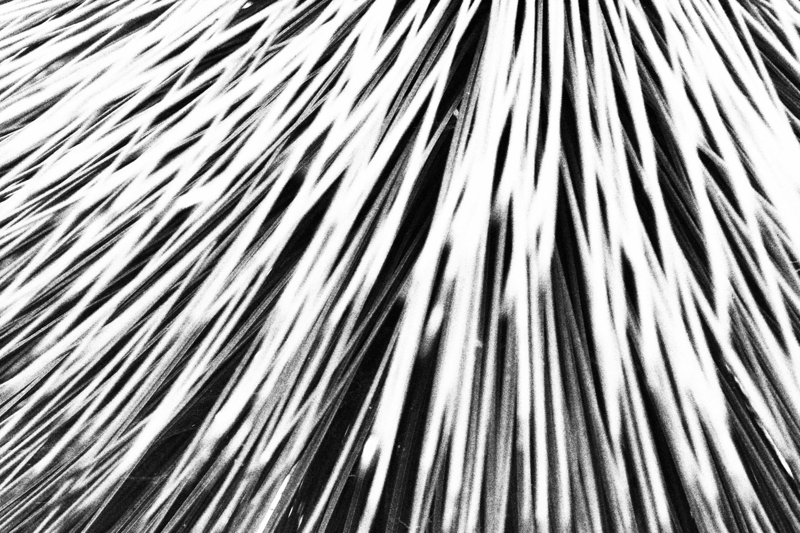 Mystic Passages – 3: Purusha Suktam  (stanza 2 – Glory of Puruṣa)