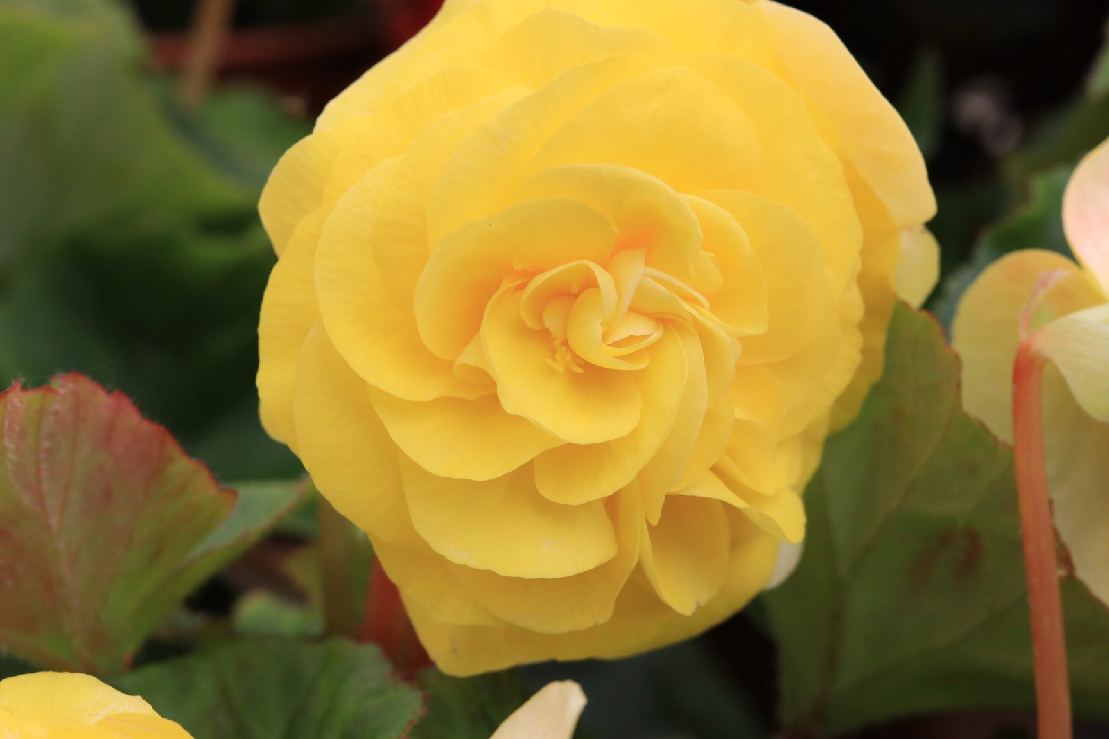 48) Oh human on the run! Stop and Ask!