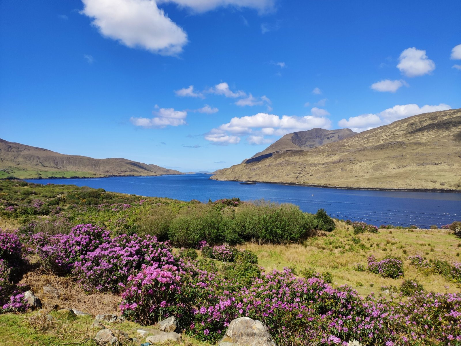 47) Foundations for Bhagawad Gita