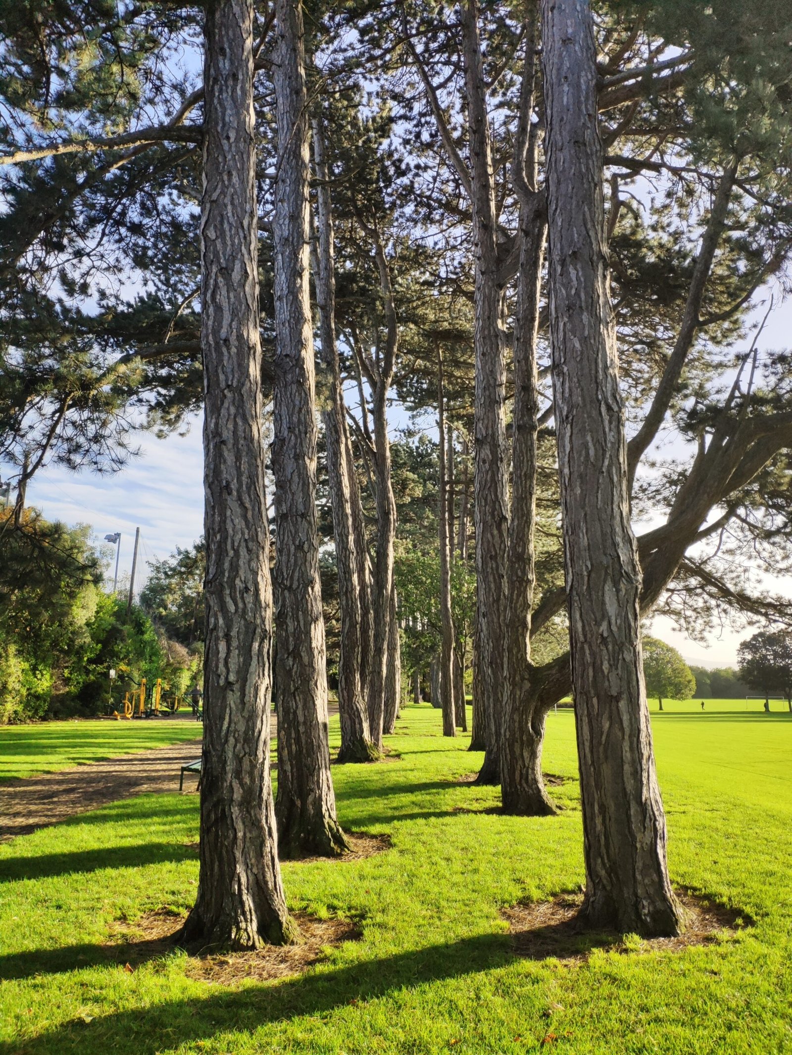 60) Nature of Death –  Kaṭha Upaniṣad