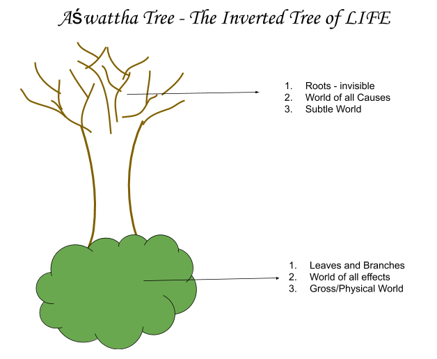 61) The Inverted Tree (Aśwattha of Gīta)