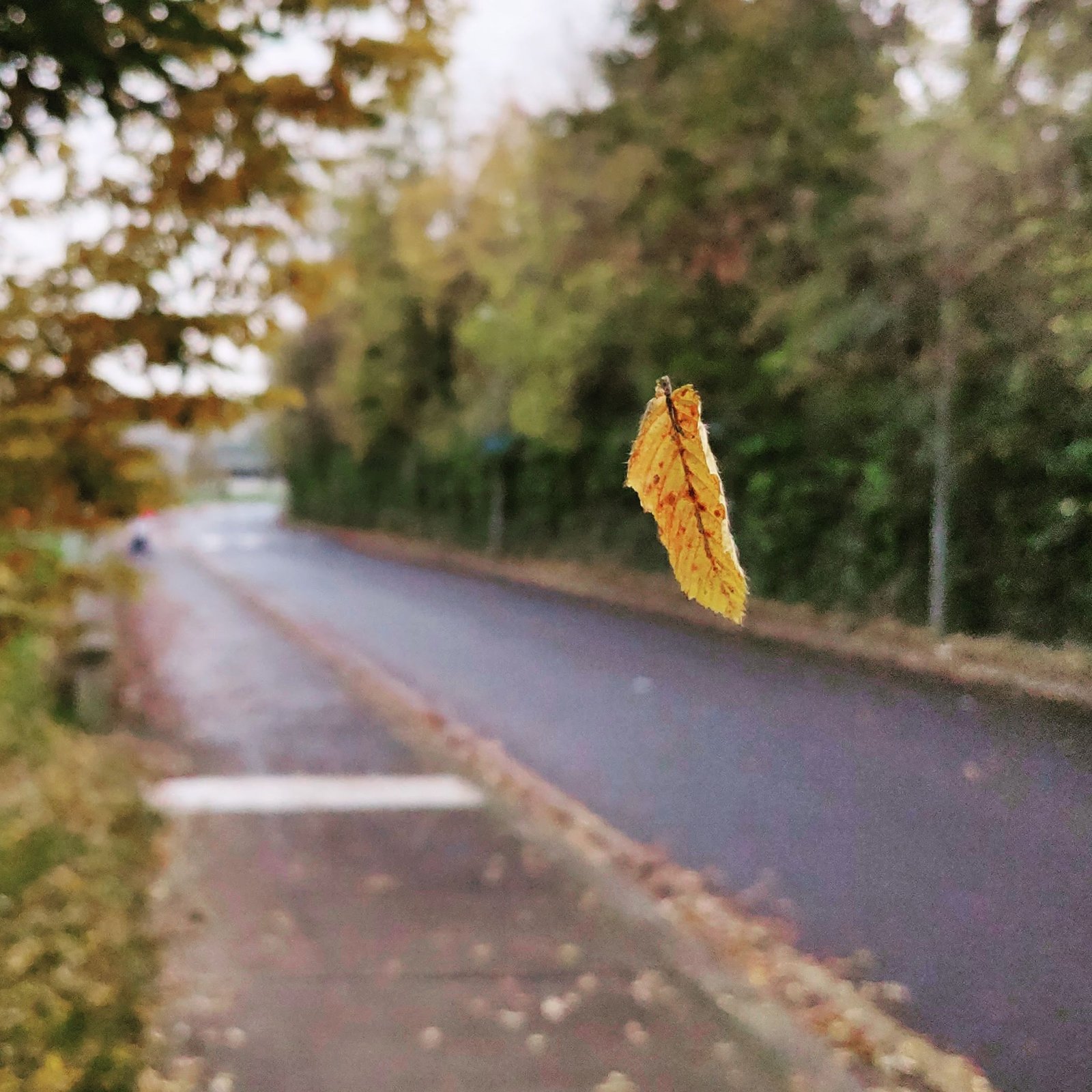 Approach to the Bhagavad Gita